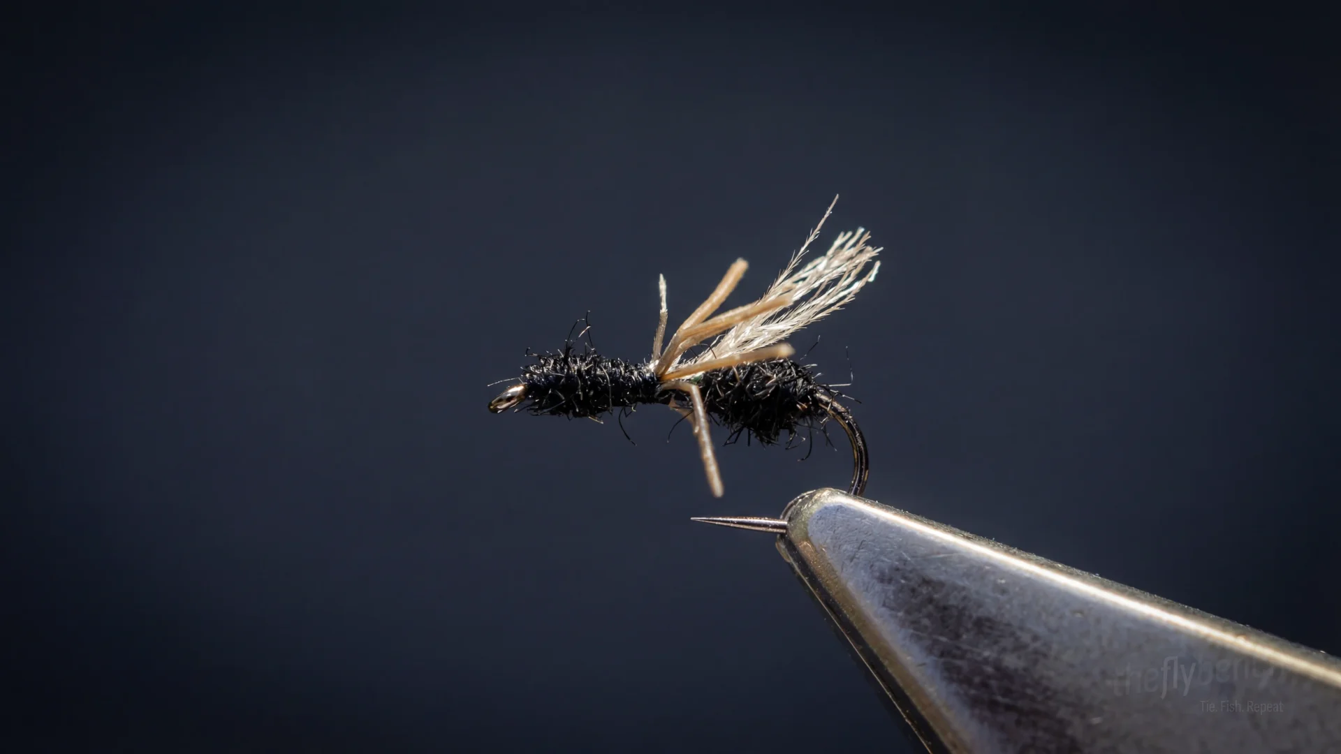 Winged Ant fly pattern - imitates Ants tied for Trout