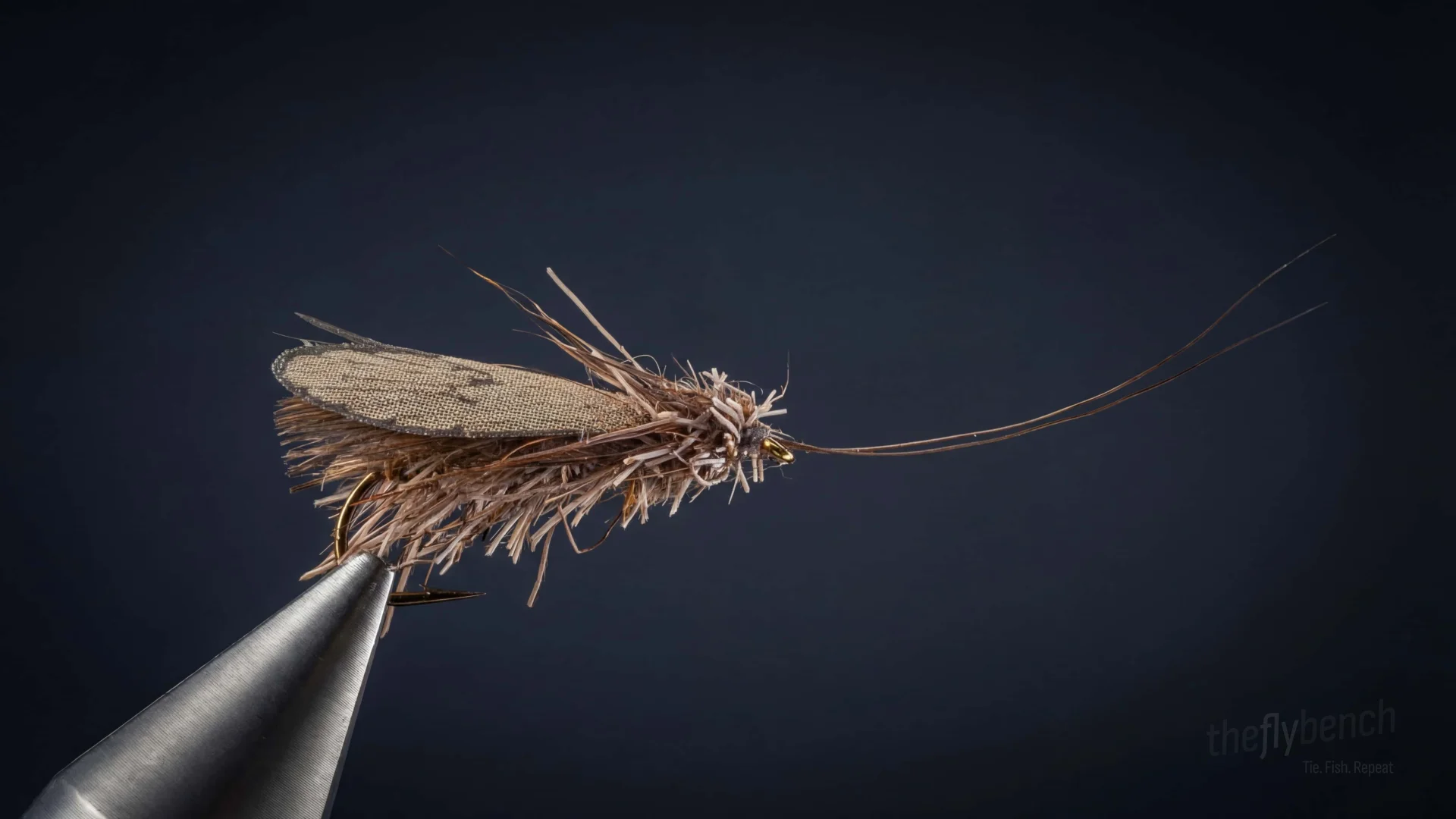 Wonder Wing Caddis fly pattern - imitates October Caddis tied for Trout