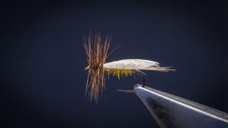 Europe 12 Variant - Image source: The Fly Bench
