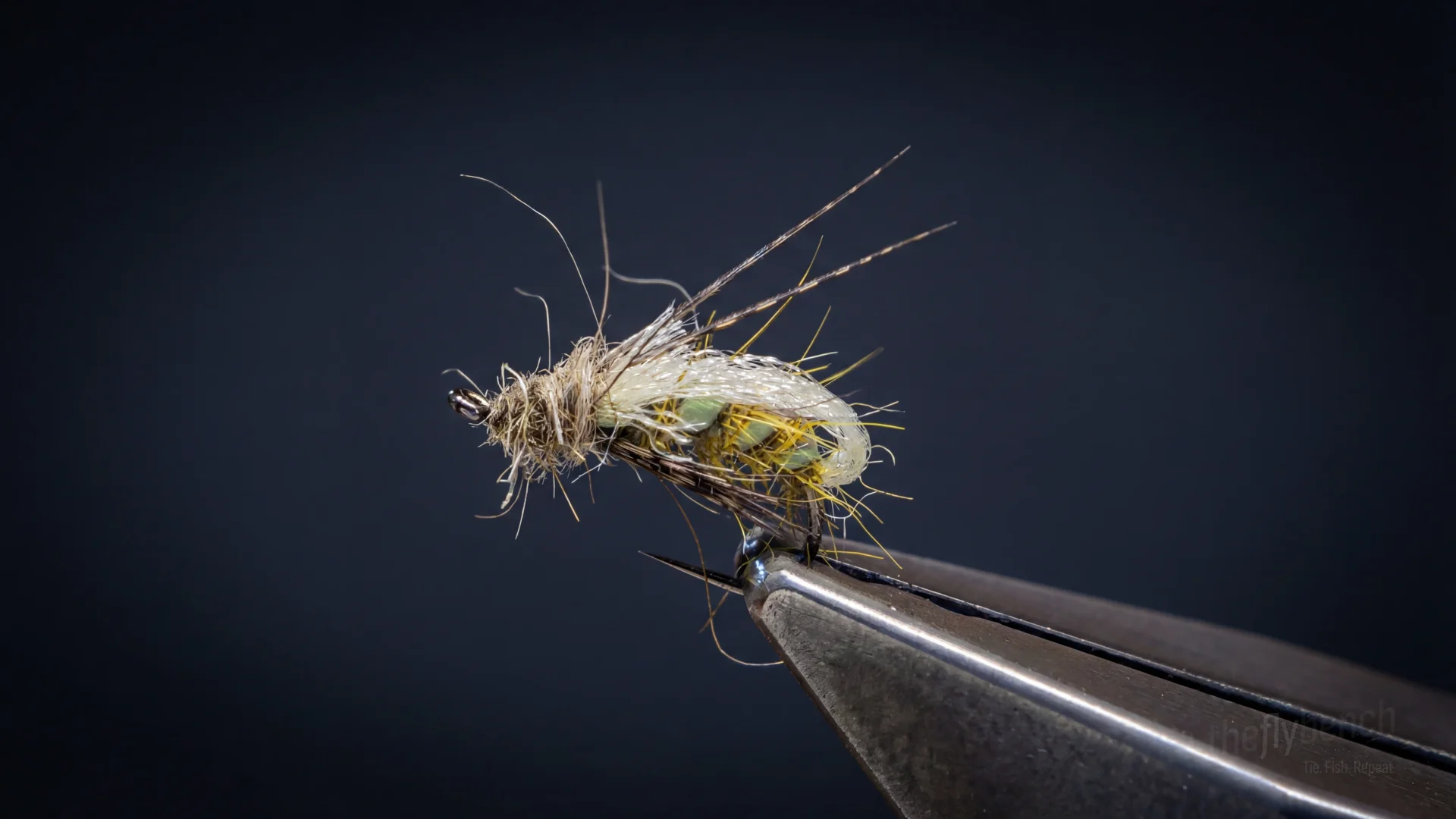 Sparkle Quill Caddis Pupa fly pattern - imitates Caddis tied for Trout