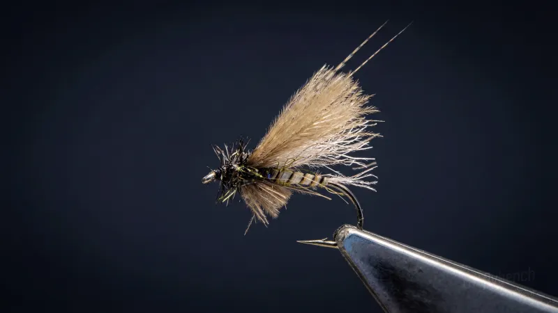 CDC Biot Caddis Emerger - Image source: The Fly Bench
