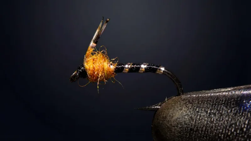 Copperhead Midge - Image source: The Fly Bench