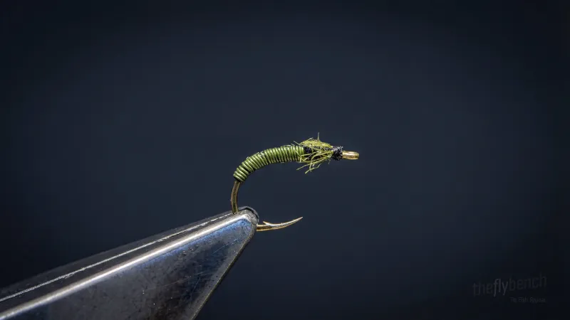 Flashback Caddis - Image source: The Fly Bench