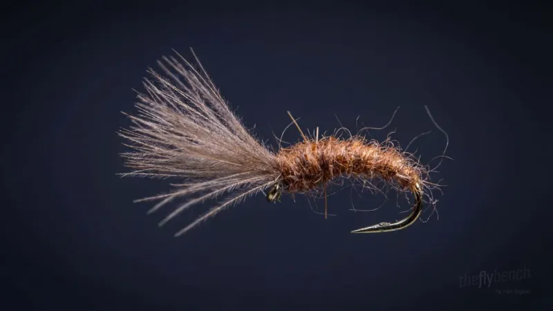 Mole Fly