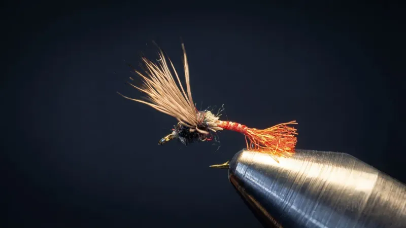 Scotty's Midge