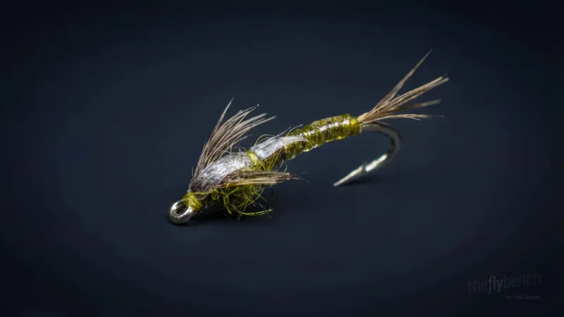 Stalcups Baetis