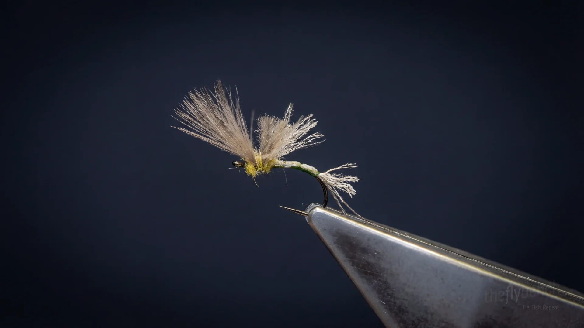 Wilson Emerger fly pattern - imitates Midges tied for Trout
