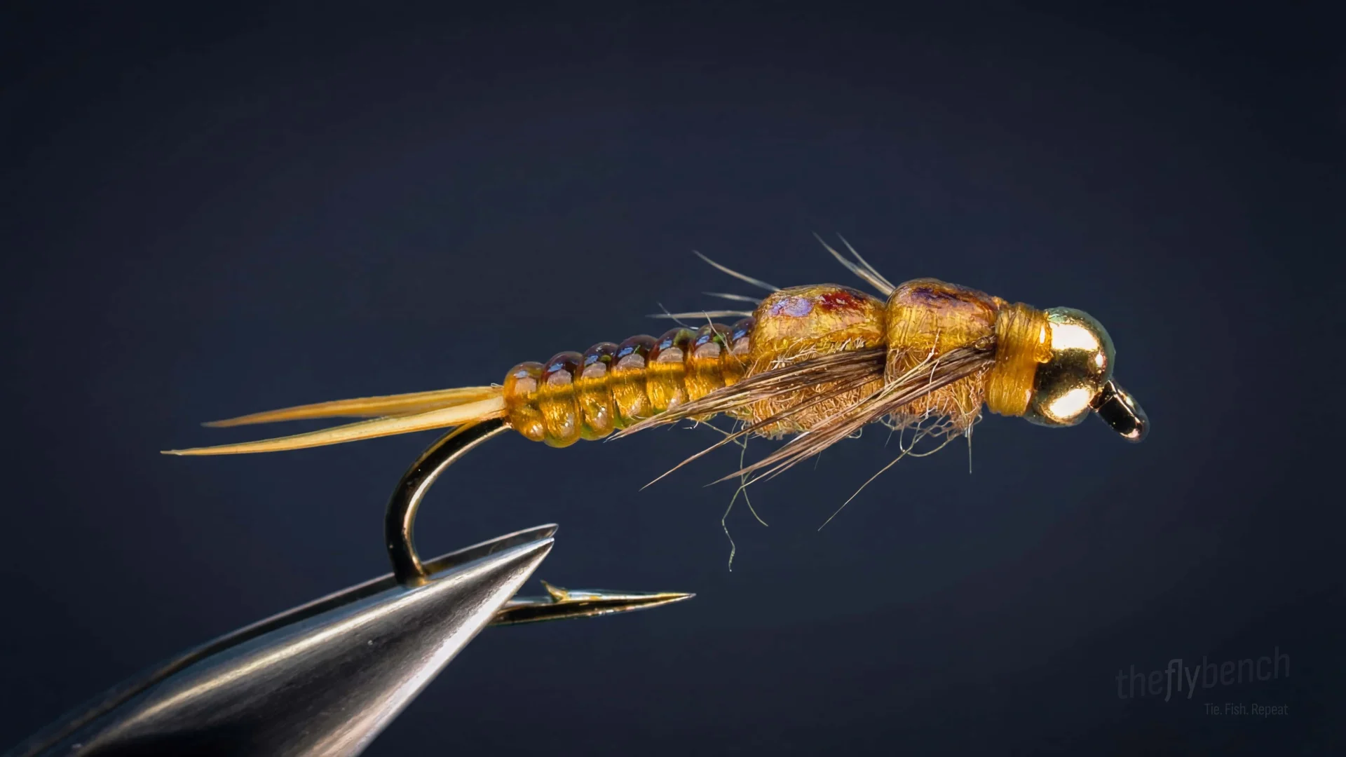 Bead Head "D" Rib Golden Stone fly pattern - imitates Golden Stonefly tied for Trout