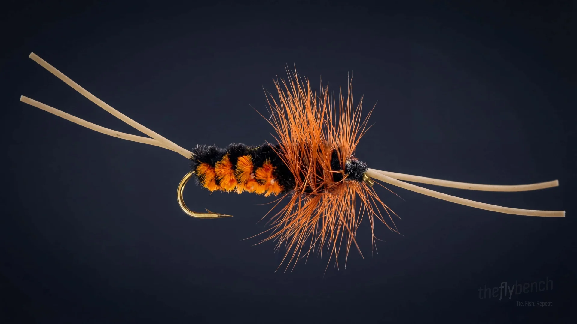 Bitch Creek Stonefly Nymph fly pattern - imitates Stoneflies tied for Trout