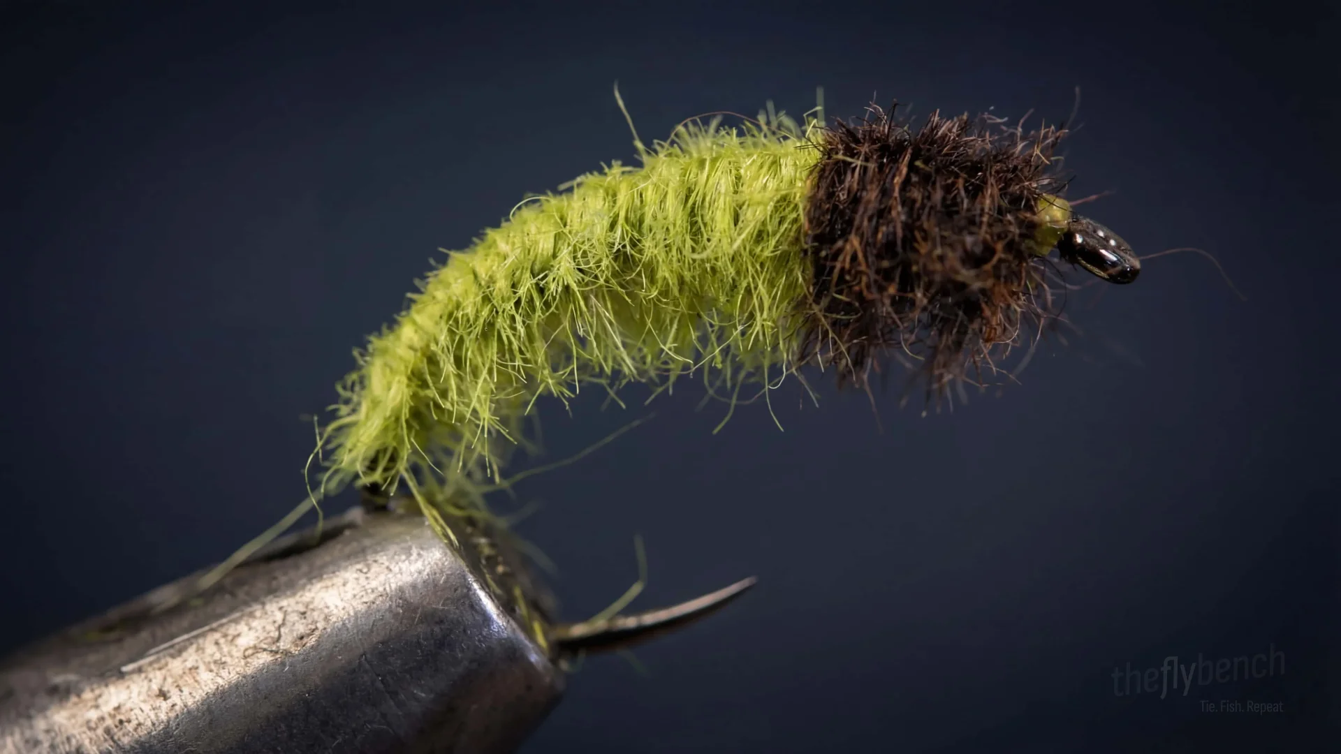 Caddis Larva fly pattern - imitates Caddis Larvae tied for Trout