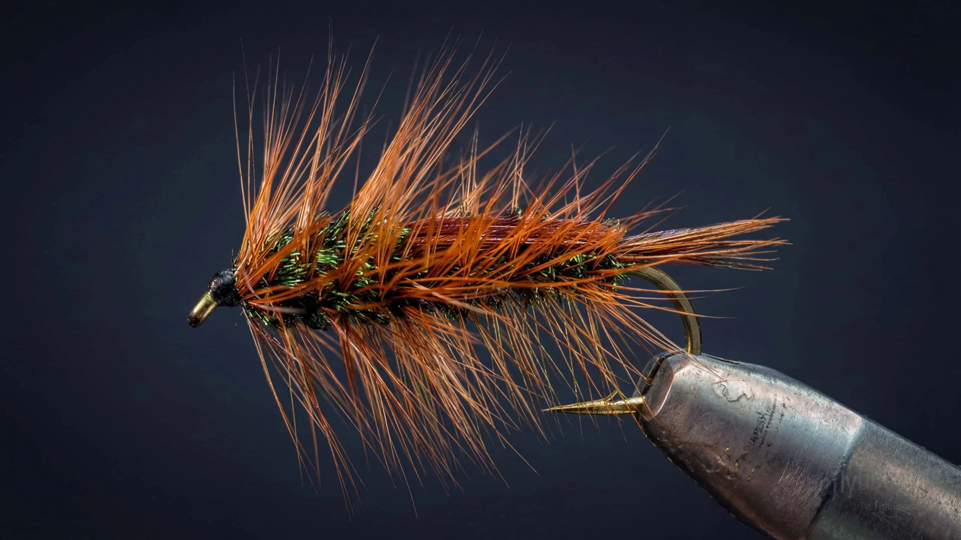 Halfback Nymph fly pattern - imitates Mayfly Nymphs, Dragonfly Nymphs tied for Trout