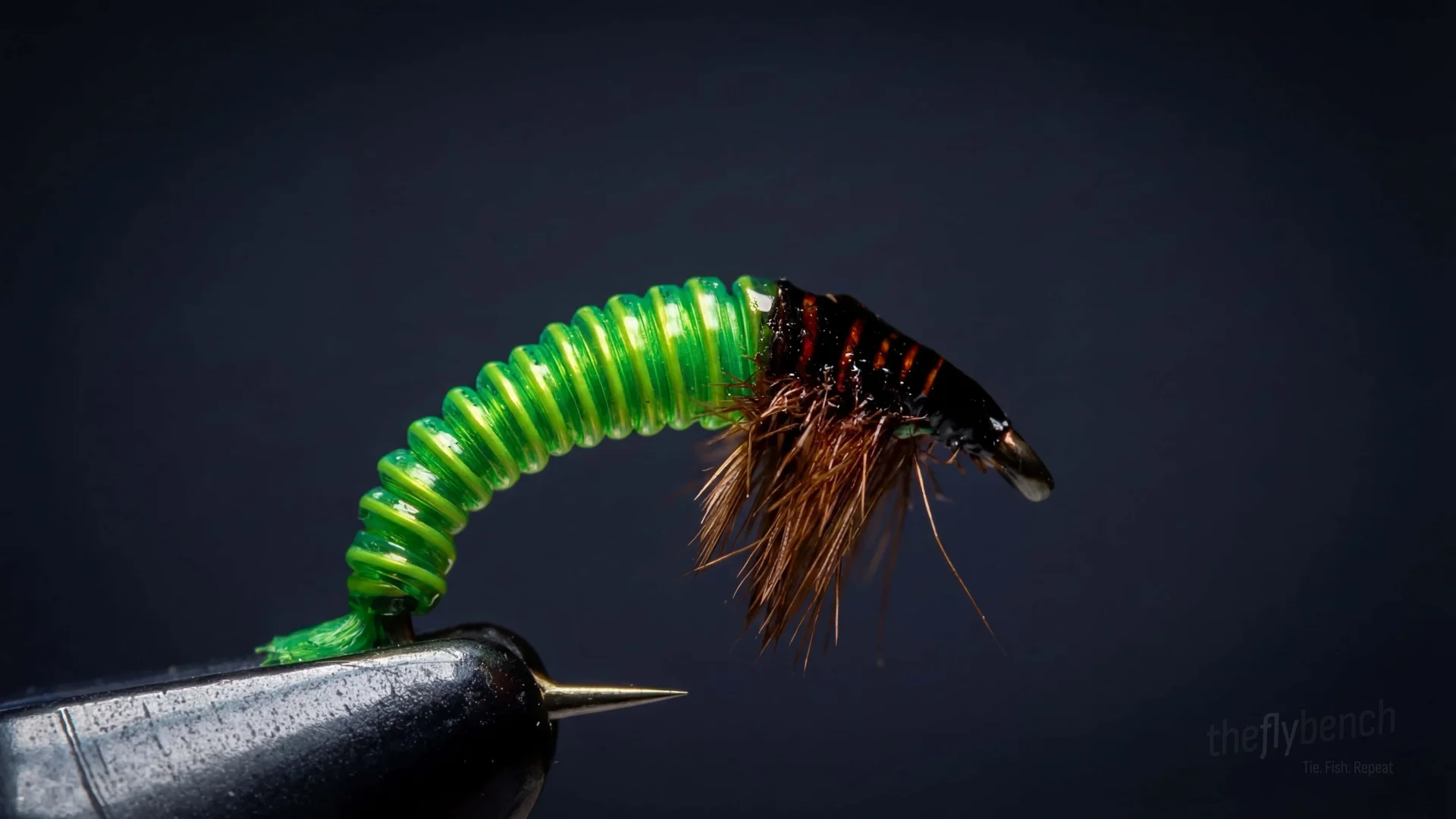 JC Electric Caddis Pupa fly pattern - imitates Caddis Pupae tied for Trout