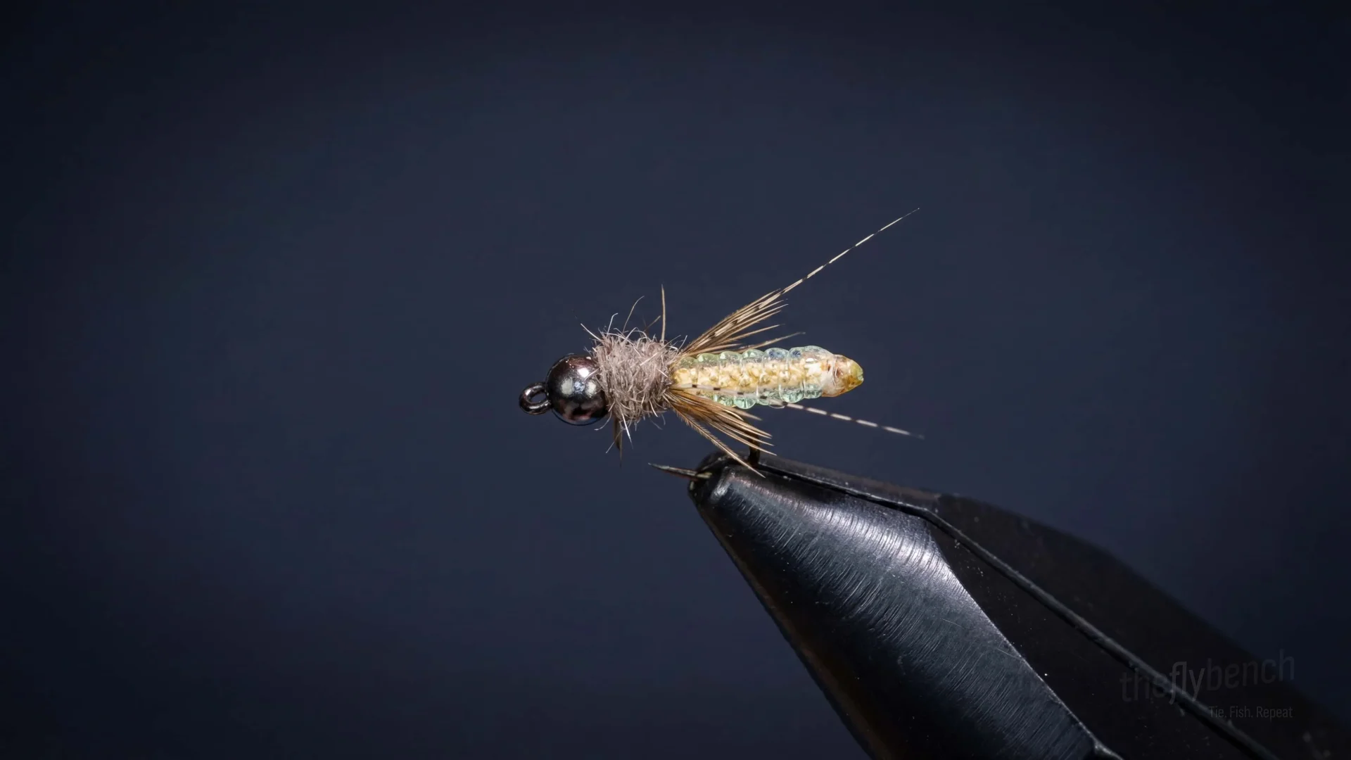Nitro Caddis Pupa fly pattern - imitates Caddis Pupae tied for Trout