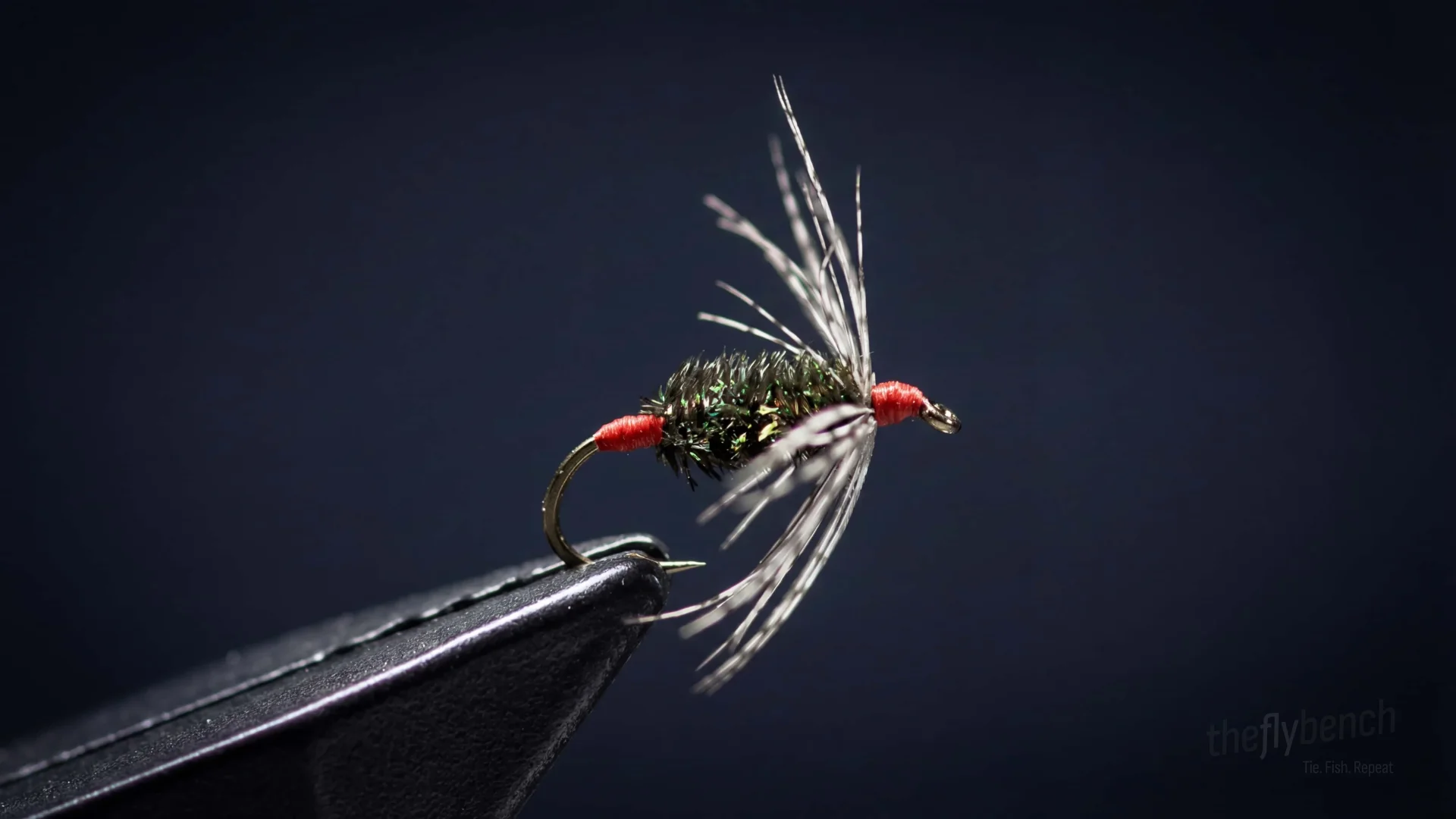 Red Ass Soft Hackle fly pattern - imitates Mayflies tied for Trout