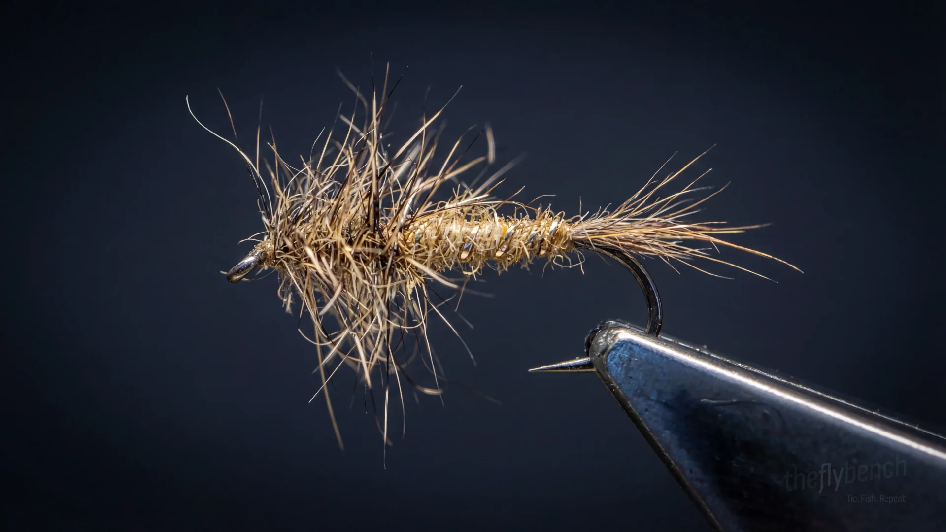 Red Fox Squirrel Nymph fly pattern - imitates Mayfly Nymphs tied for Trout