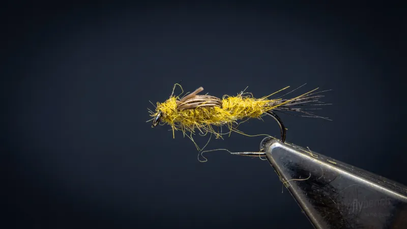 A.P. Nymph (generic) - Image source: The Fly Bench
