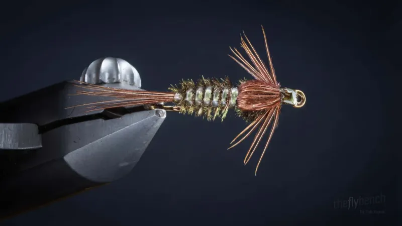 Gilled Nymph