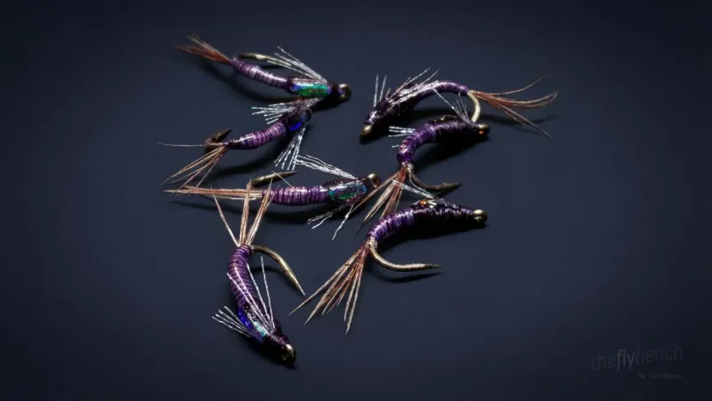 Jujubaetis