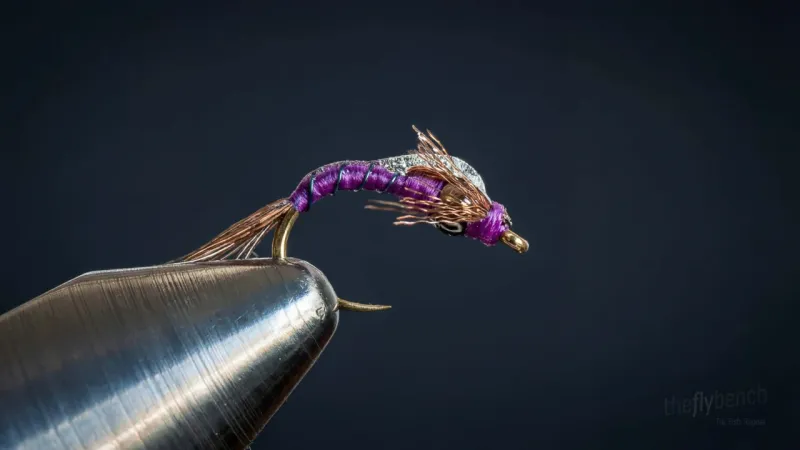 Shot Glass Baetis