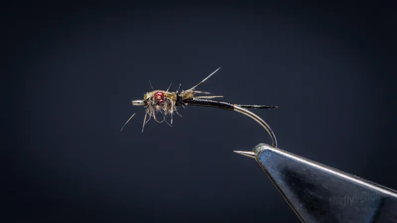 Simple Nymph