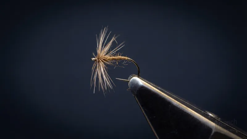 Softhackle with Split Thread Ribbing and Thorax
