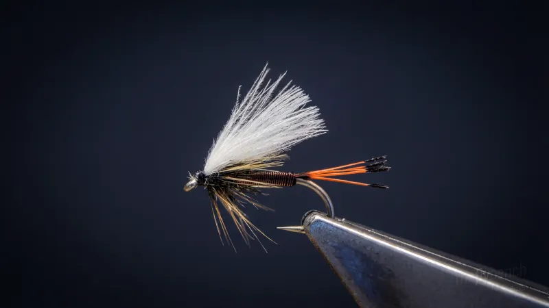 Wet-wire Royal Coachmen