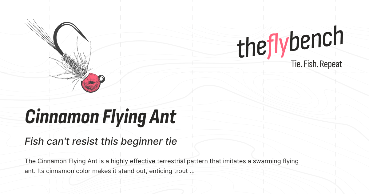 Flying Ant Pattern Cinnamon Flying Ant Fly Pattern | The Fly Bench