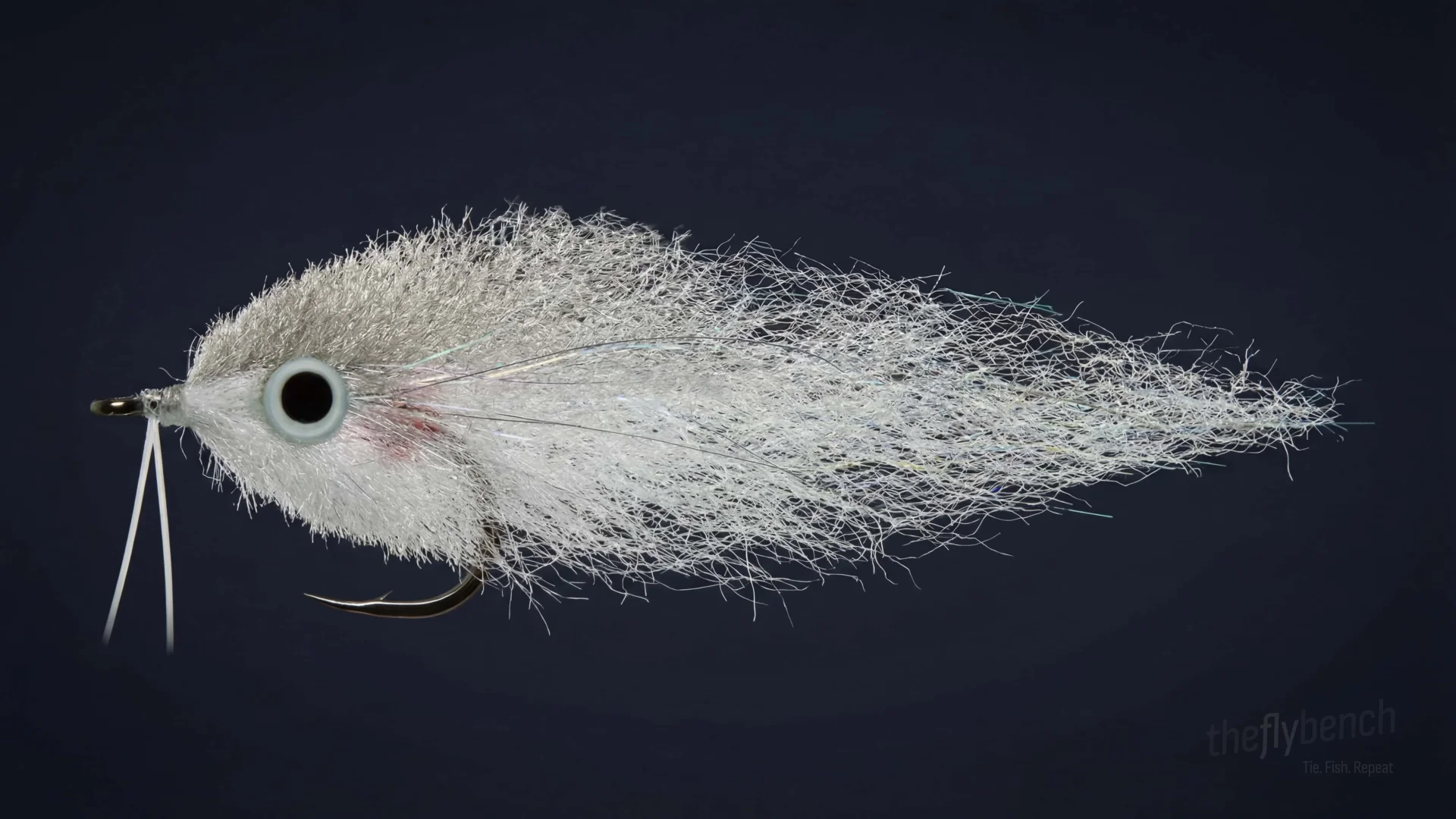 EP Anchovy fly pattern - imitates Anchovy tied for Tarpon, Jacks, Bluefish