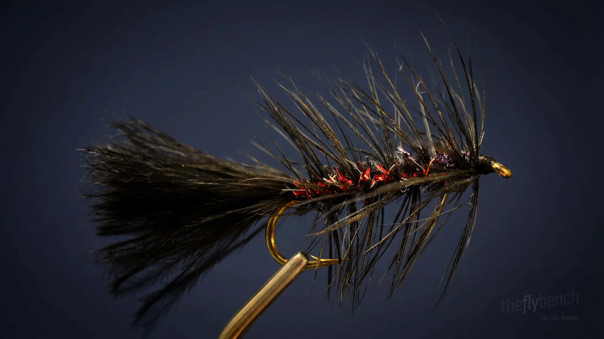 Woolly Bugger fly pattern - imitates Baitfish tied for Trout, Bass